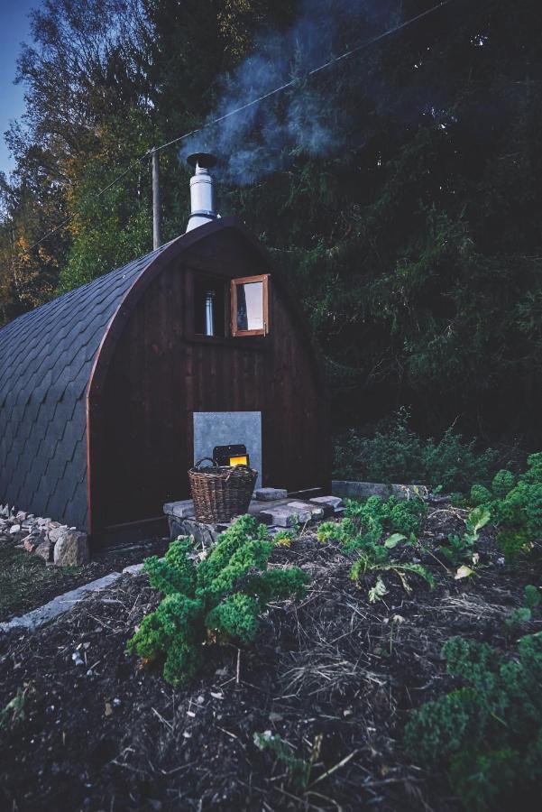 Blickinsfreie - Cabin Schoeneck  Ngoại thất bức ảnh